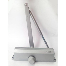 Доводчик Kale KD002/30-220 (800х2100 mm) (25-45 kg) срібний